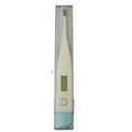 Digital Thermometer